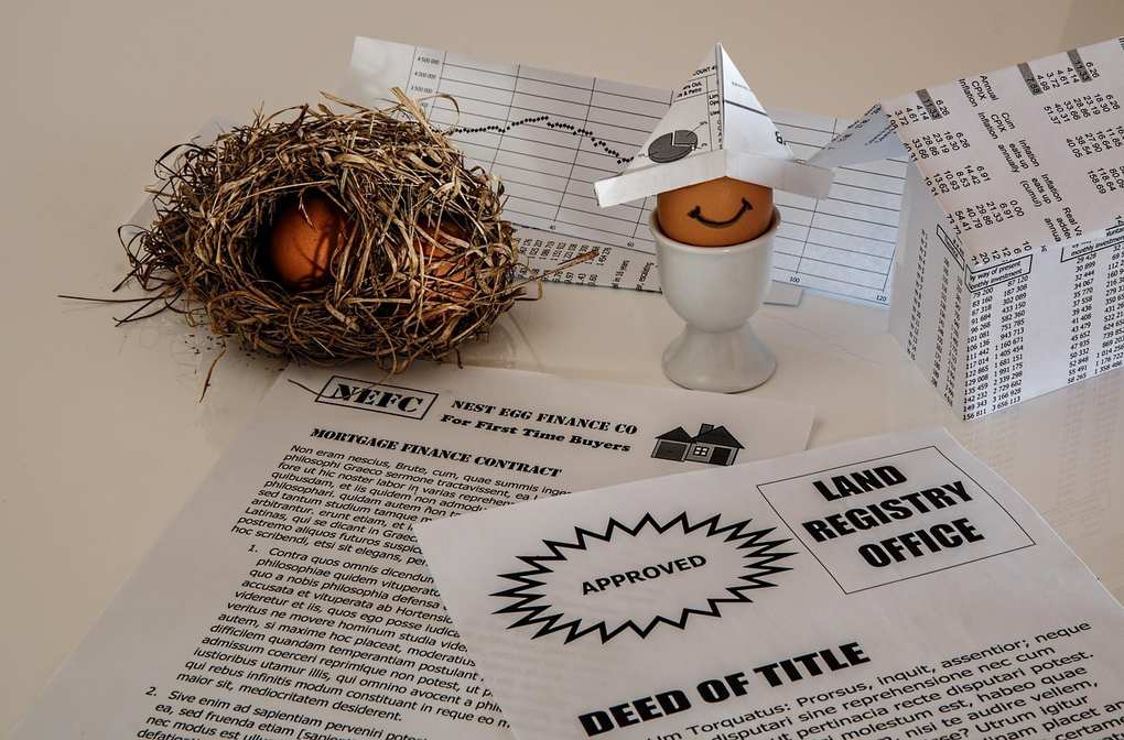 Œuf en carton souriant, nid avec œuf, documents officiels sur bureau Œuf en carton souriant, nid avec œuf, documents officiels sur bureau